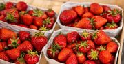 Ceny polskich truskawek lecą w dół. Tyle obecnie kosztuje kilogram