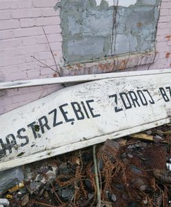 Kolej wraca do kolejnego miasta. Zniknęła stamtąd 30 lat temu