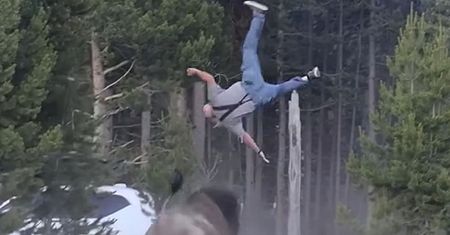 Przerażający atak bizona w Yellowstone. Turysta wyleciał 2,5 metra w górę