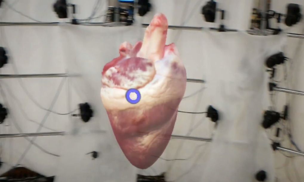 Polacy stworzyli wirtualne serce. Nie zgadniesz, czym zajmują się na co dzień