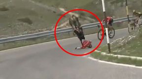 Koszmar na trasie Giro d'Italia. Matej Mohoric trafił do szpitala (wideo)