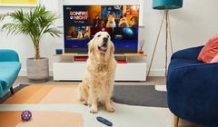 Znana platforma cyfrowa uruchomi kanał dla psów