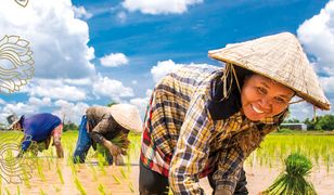 Wietnam - Złota Seria