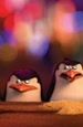Spotkania z ''Pingwinami z Madagaskaru'' w kilku miastach Polski