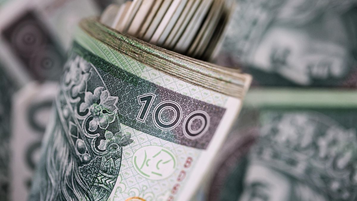 banknoty
Ekonomia, makroekonomia, podwyżka stóp, RPP, stopy procentowe