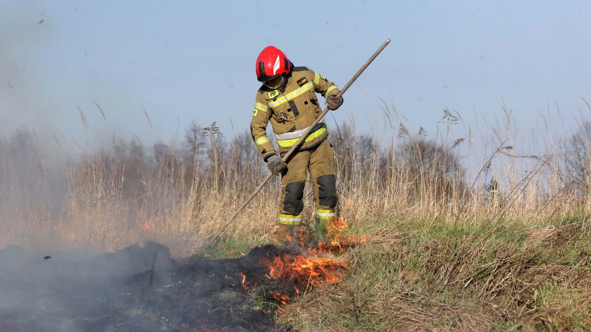 Rolnicy mogą stracić dotacje za wypalanie traw 