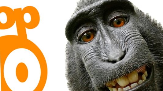 Te tematy interesowały was najbardziej. Najpopularniejsze teksty 2014 roku 1