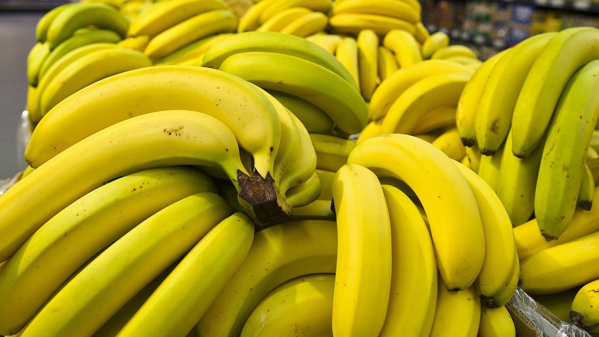 Kokaina w bananach. Znaleźli ją pracownicy znanej sieci sklepów 