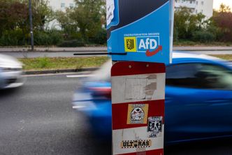 AfD chce masowej deportacji imigrantów z Niemiec. I "całkowitego zamknięcia granic"