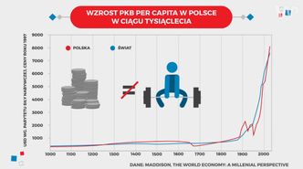 Polska jak Niemcy? Najpotężniejsi byliśmy... za Mieszka I