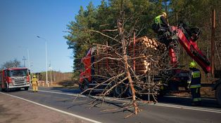 Drzewo spadło na ciężarówkę na DK11. Utrudnienia pod Jastrowiem