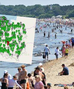 Sinice nie tylko nad Bałtykiem. Lista zamkniętych kąpielisk