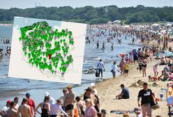 Sinice nie tylko nad Bałtykiem. Lista zamkniętych kąpielisk