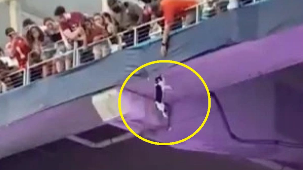 Kot spadł ze stadionu.