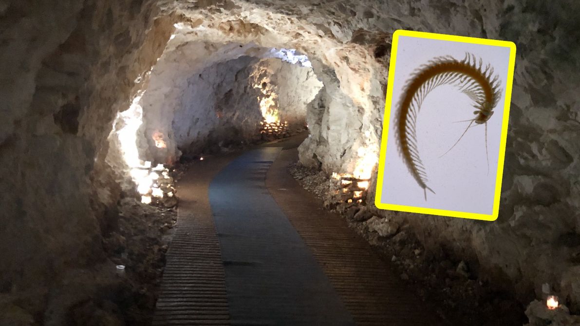 Naukowcy dają nadzieję na przełom w leczeniu chorób