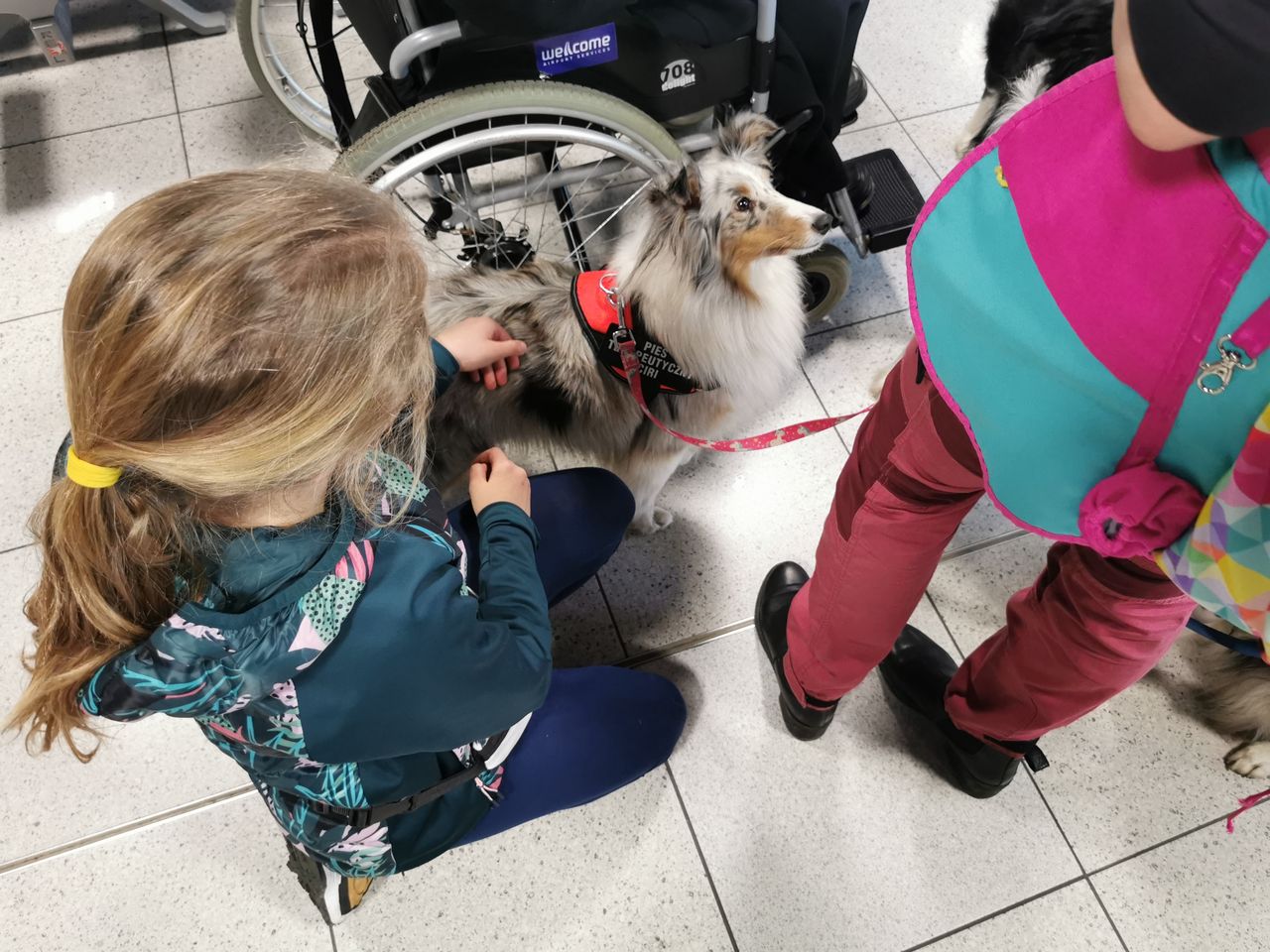 Lotniskowe psy największy fan club mają wśród dzieci