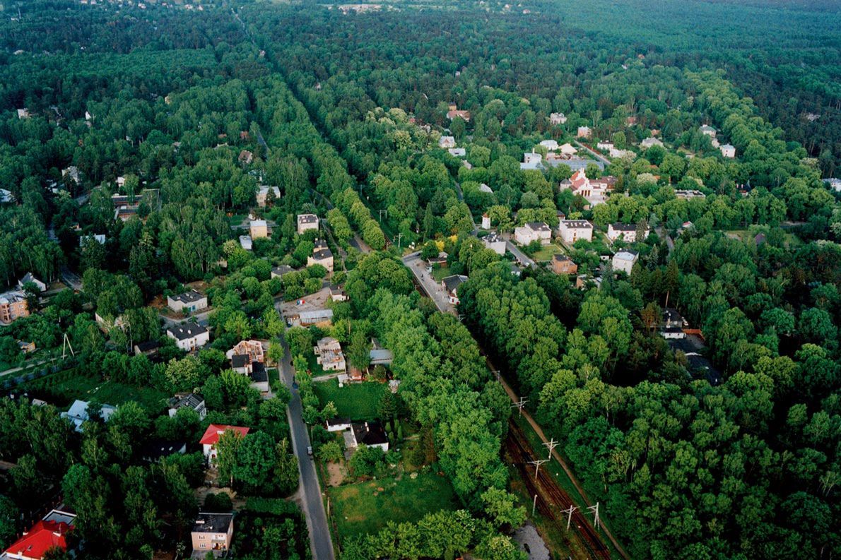 Podkowa Leśna. Gmina na najwyższym podium. Tu najwięcej zaszczepionych