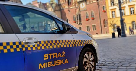 "To żyła złota". Strażnicy miejscy wystawili mandaty na rekordową kwotę