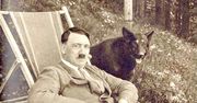 Gadające psy miały wygrać wojnę dla Hitlera