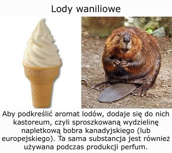 10 obrzydliwych substancji, które zjadasz na co dzień 4
