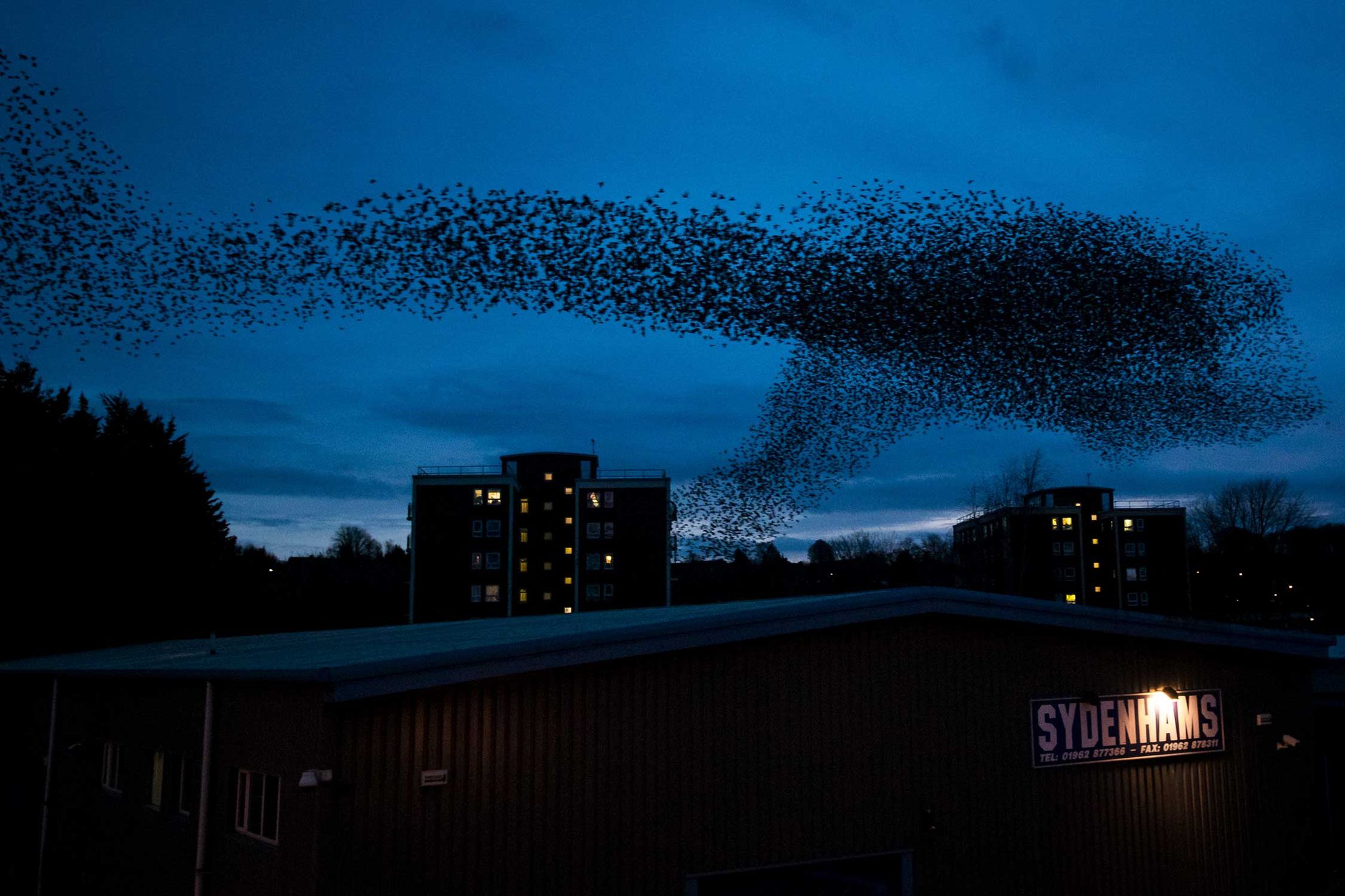 British Wildlife Photography Awards 2017 – najlepsze zdjęcia dzikiej przyrody z Wielkiej Brytanii. Zobaczcie ich historie 19