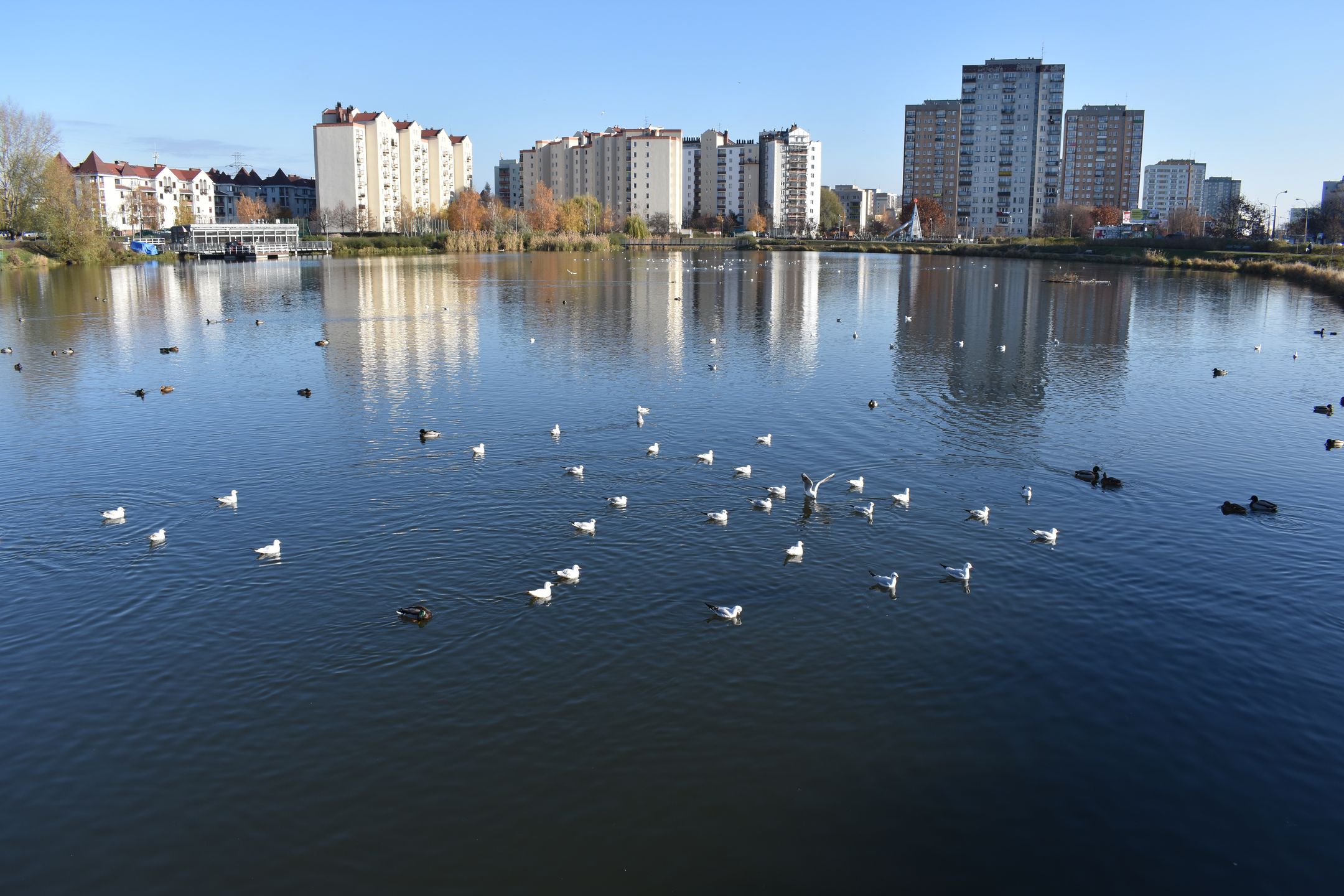 Nikon D3400 - test lustrzanki dla każdego 38