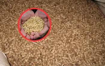 Dodaje to pelletu. Twierdzi, że ogrzewa dom taniej. Eksperci grzmią