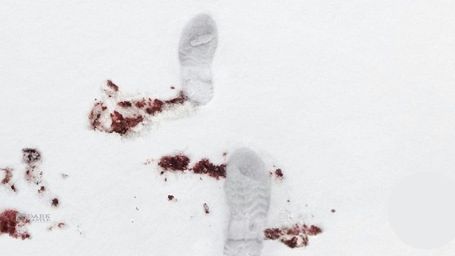 Pierwsze w historii morderstwo na Antarktydzie 1