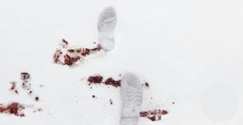 Pierwsze w historii morderstwo na Antarktydzie