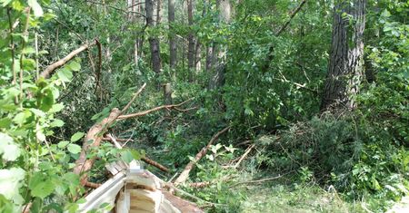 Mężczyzna zginął podczas wycinki drzew. Są nowe informacje