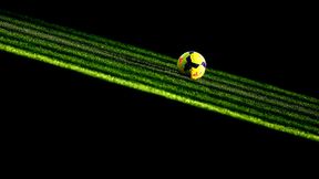 Premier League. West Ham United planuje powrót na boisko. W planach dezynfekcja murawy