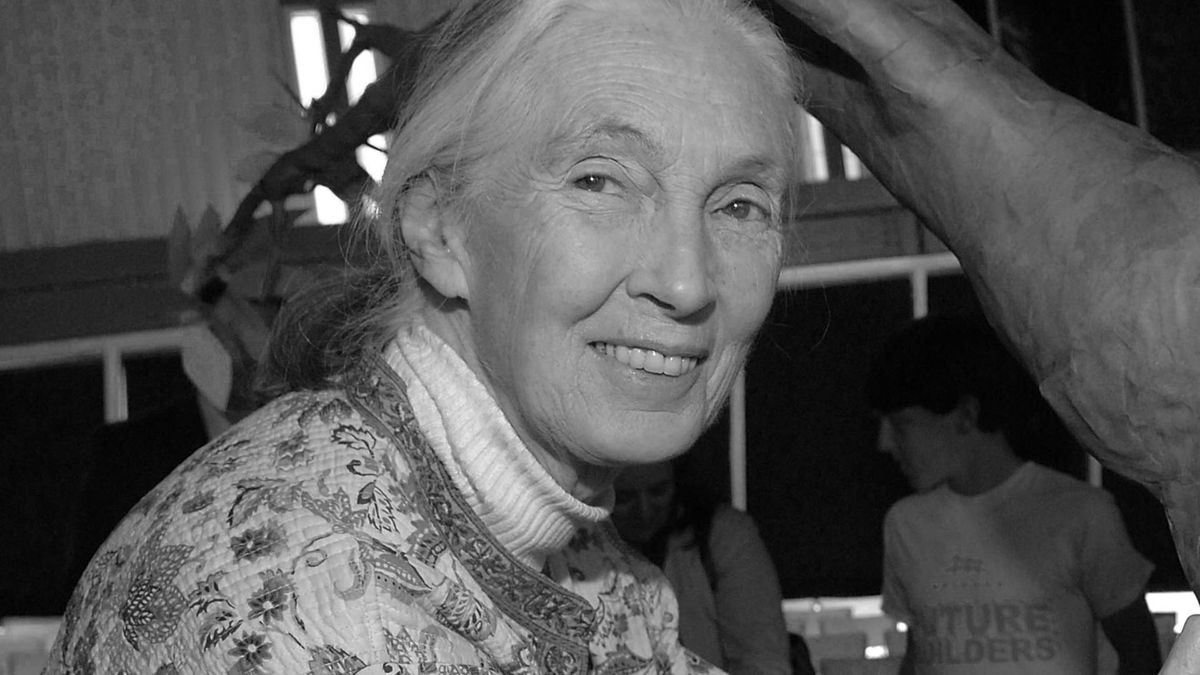 Jane Goodall nie żyje