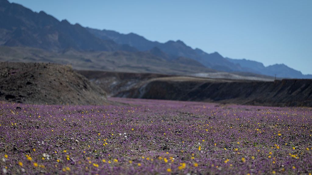 Widok w Dolinie Śmierci robi ogromne wrażenie 