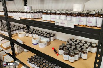 CBŚP rozbiło gang. Produkowali nielegalne anaboliki
