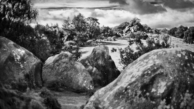 "Frymografia": W sekundę dookoła świata 1