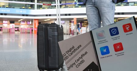 mObywatel. Paszport covidowy w telefonie. Jak pobrać unijny certyfikat? Jeśli zobaczysz ten komunikat, nie panikuj