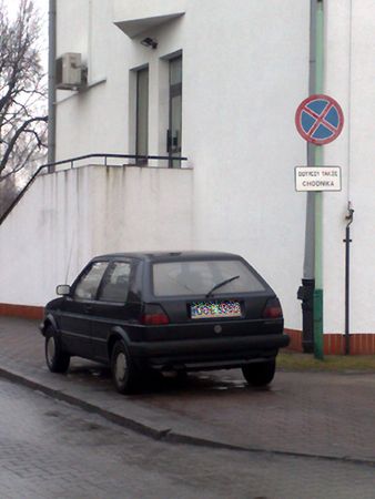 Obraz