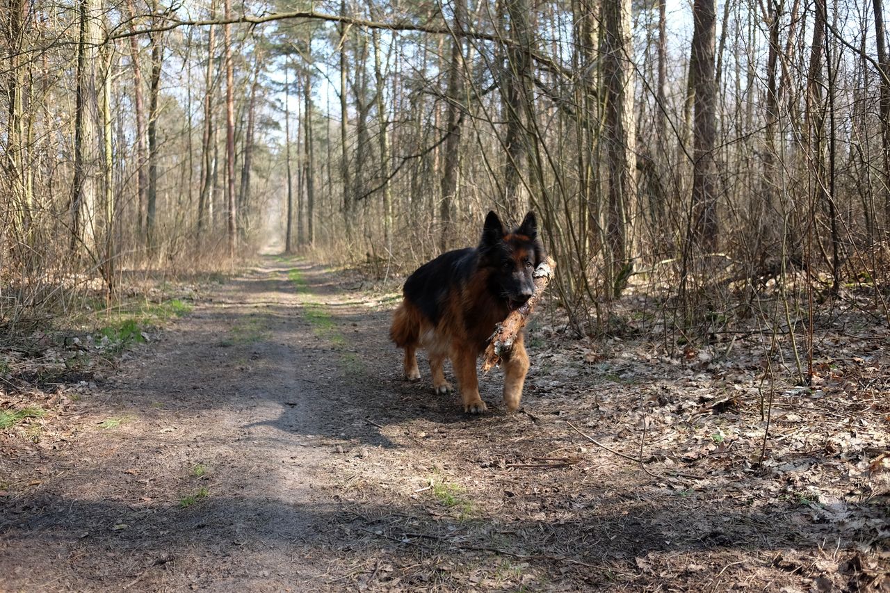 18.5 mm, 1/250 s, f/2.8, ISO 200Pełna rozdzielczość