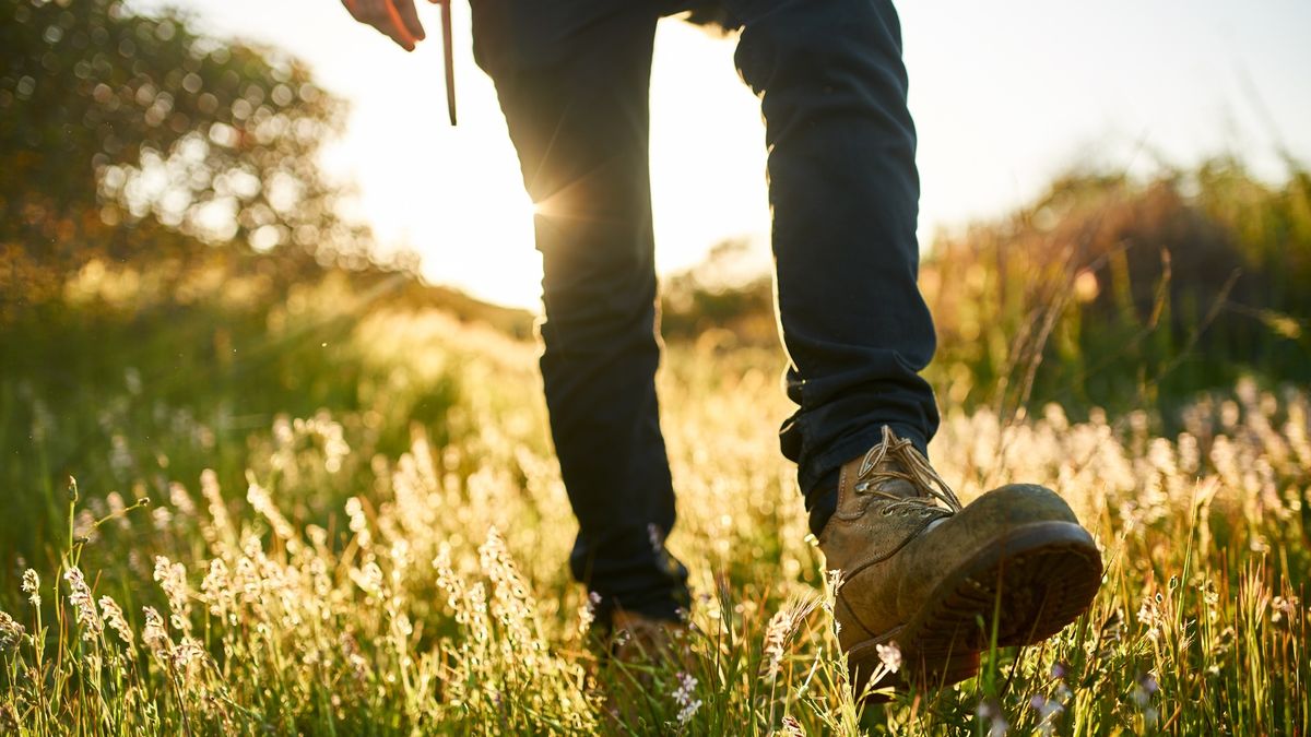 close up of hikers boot while walking through grass during hike
Adventure, Backpack, California, caucasian, men, Hiking, Lifestyles, Nature, One Person, Outdoors, Recreation, healthy, fitness, trail, Sunset, USA, Vacations, walking, Activity, hiker, Leisure, male, man, person, people, lens flare, trek, trekking, grass, boots, close up, selective focus, adventure, backpack, california, caucasian, men, hiking, lifestyles, nature, one person, outdoors, recreation, healthy, fitness, trail, sunset, usa, vacations, walking, activity, hiker, leisure, male, man, person, people, lens flare, trek, trekking, grass, boots, close up, selective focus