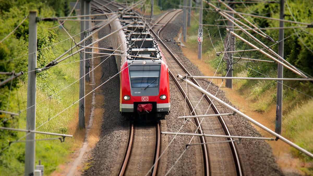 Policja potwierdziła tożsamość ofiar
