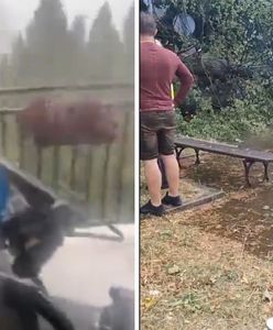 Superkomórka burzowa nad Mielcem. Połamane drzewa, uszkodzone auta