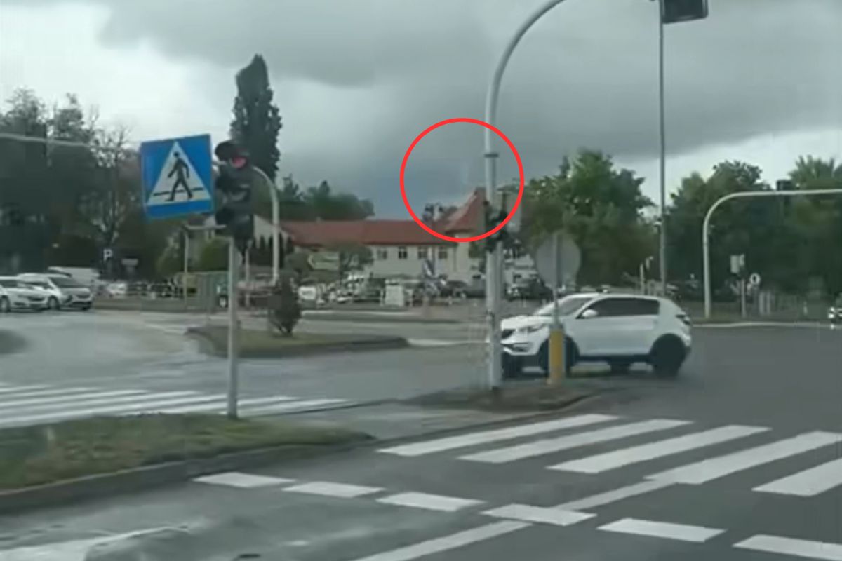 Nagranie z Gniezna obiega sieć.