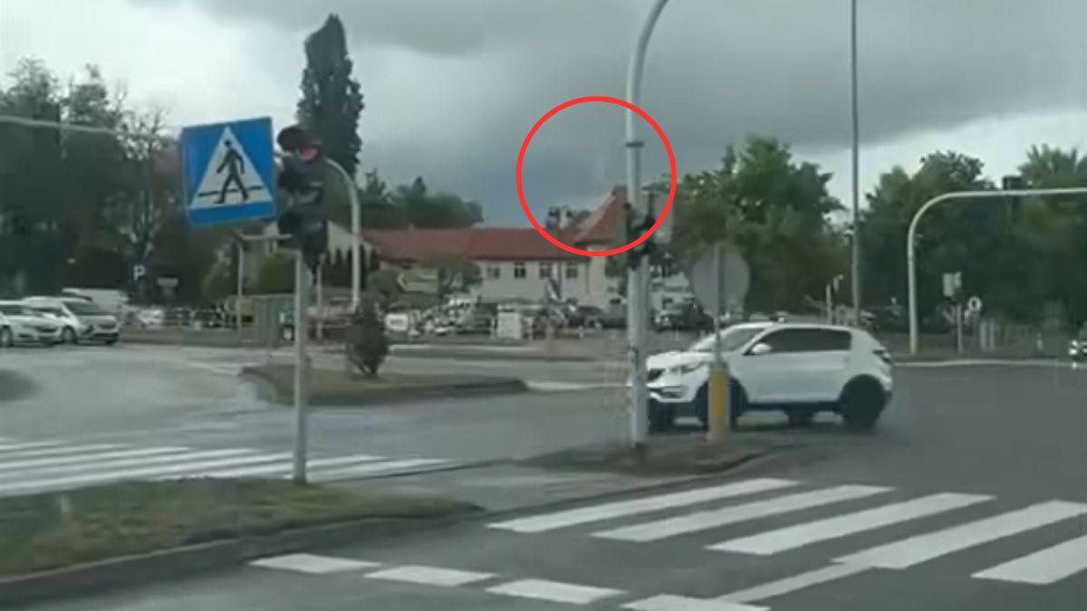 Nagranie z Gniezna obiega sieć.