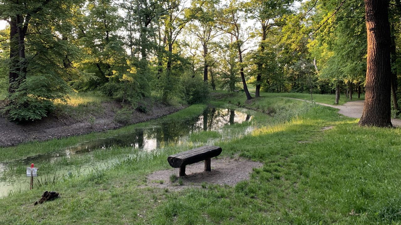 Wrocław. Będziemy mieć swój Central Park. Kępa Mieszczańska zmieni swoje oblicze