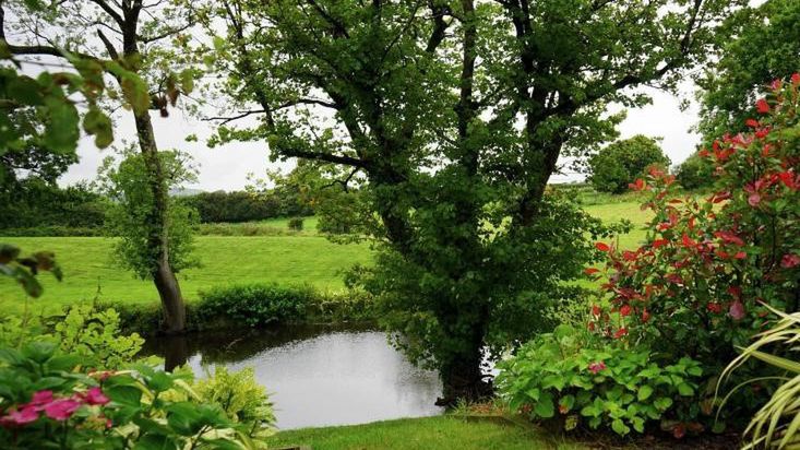 Śląskie. Ruszył gliwicki program łapania deszczówki "Mój deszcz". Można uzyskać nawet 4 tys. złotych jednorazowego dofinansowania.