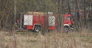 Poddębice: Pożar pola, nieużytków i młodnika gasili strażacy w powiecie