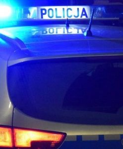 Afera na 600 milionów złotych. Policjanci i urzędnicy w gangu produkującym "lewe" papierosy