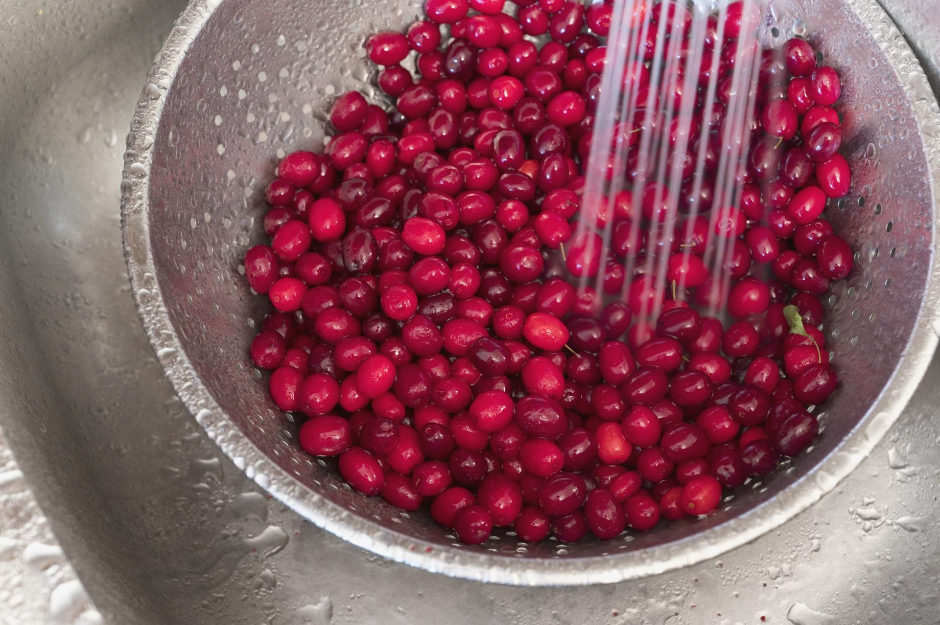 Dereń ma właściwości prozdrowotne