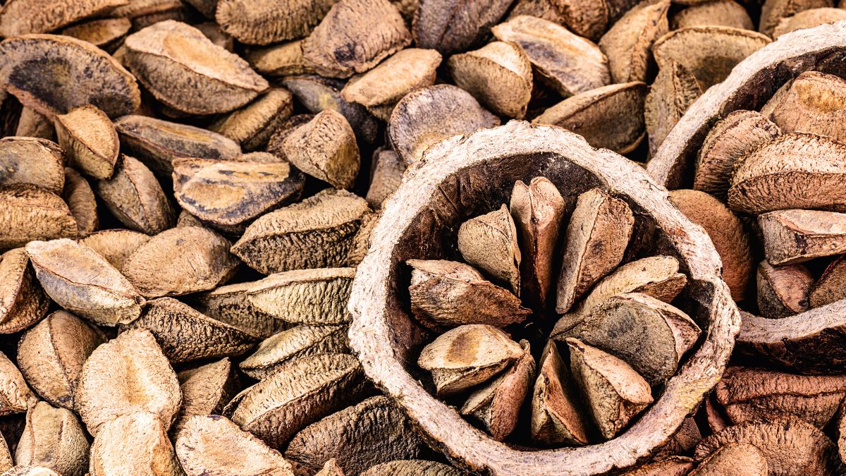 Orzechy brazylijskie 