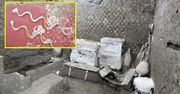 Kolejne odkrycie w Pompejach. Kuchnia i sypialnia niewolnika